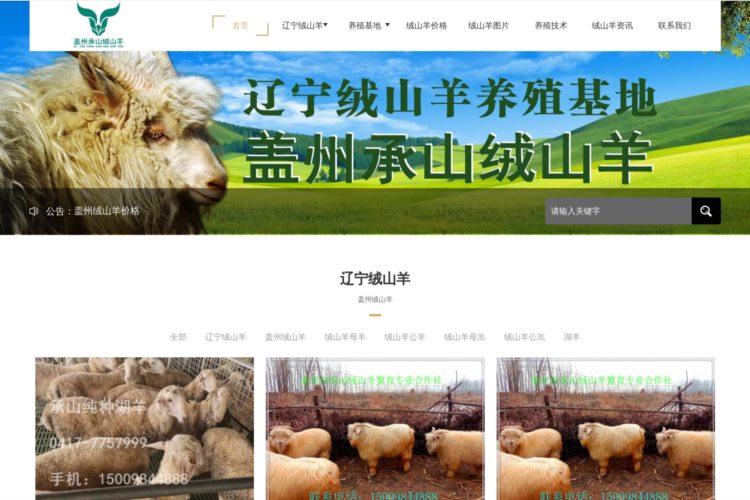 2021+辽宁+绒山羊+价格—盖州绒山羊养殖基地