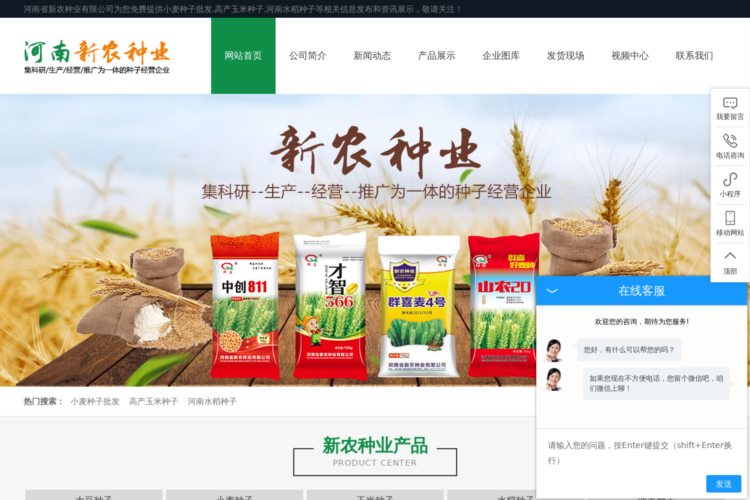 小麦种子批发-高产玉米种子-河南水稻种子-河南省新农种业有限