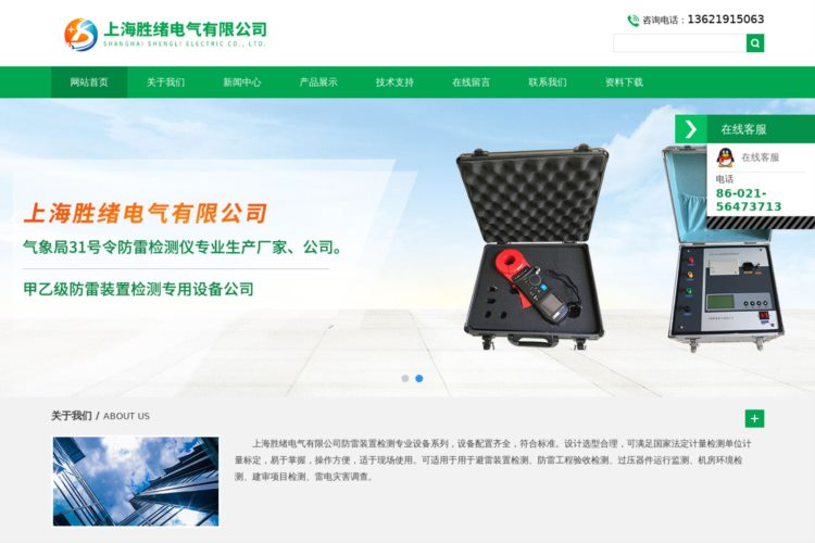防雷装置检测专用设备-化工厂防雷检测仪-上海胜绪电气有限公司