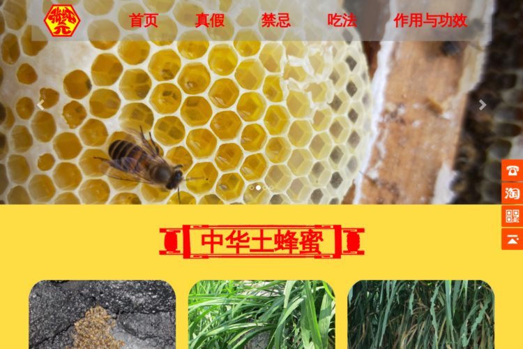 土蜂蜜_土蜂蜜价格_木桶土蜂蜜-张元纯蜂蜜网