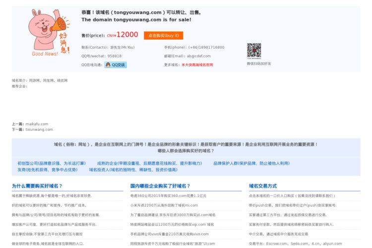 同游网,同友网,统优网,tongyouwang.com域名可以购买或转让-米大侠