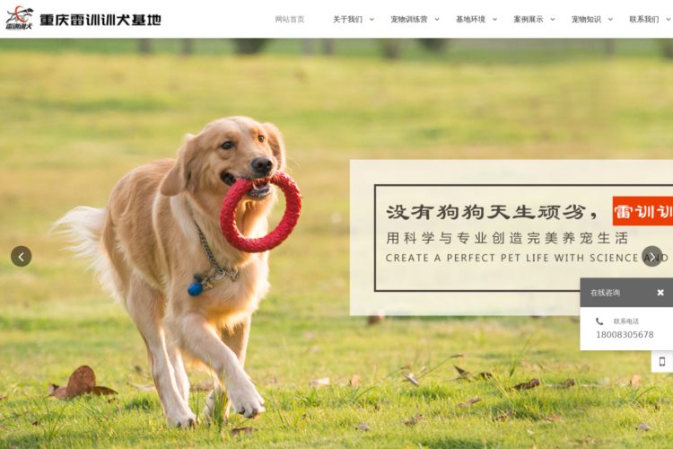 重庆宠物训练-宠物培训和宠物改造「雷训训犬」